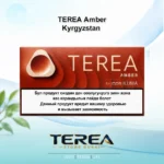 TEREA Amber Kyrgyzstan pack featuring balanced roasted tobacco with subtle woody nuances for IQOS ILUMA