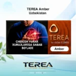 TEREA Amber Uzbekistan pack featuring balanced toasted tobacco with delicate woody nuances for IQOS ILUMA