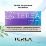 TEREA Purple Wave Indonesia pack with aromatic dark berries, floral notes, and cooling menthol for IQOS ILUMA