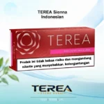 TEREA Sienna Indonesia pack offering balanced woody notes, rich tea nuances, and robust roasted tobacco for IQOS ILUMA
