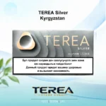 TEREA Silver Kyrgyzstan pack offering smooth refined toasted tobacco with subtle herbal undertones for IQOS ILUMA